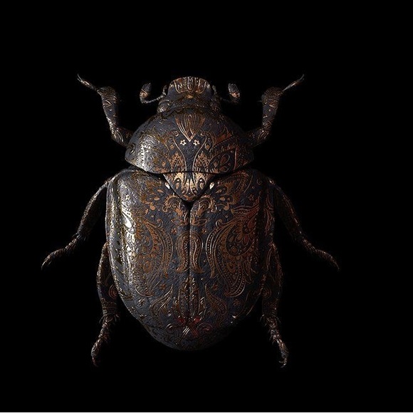 Meet your Posher, Valerie - Picture 1 of 1